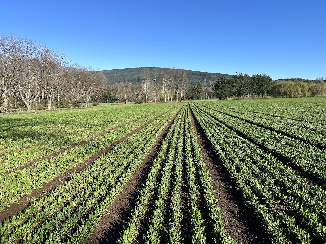 Visuel d'accompagnement qui représente un champ